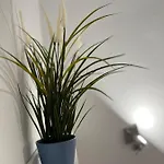 Adele Apartmán Costa Adeje (Tenerife)