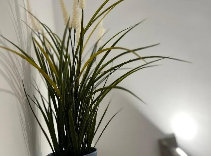 Adele Apartamento Costa Adeje (Tenerife)